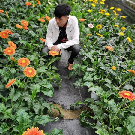 Minh Muzik