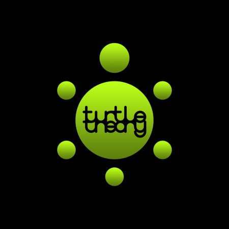 turtletheory