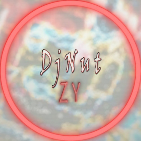 DjNut ZY