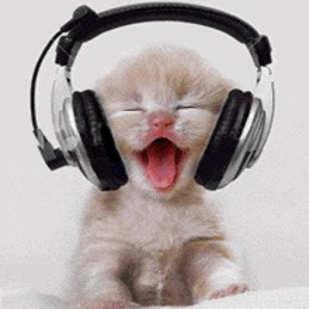 DJ Gav