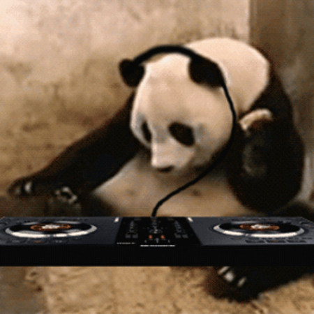 DJ RITSIE AMSTERDAM  @DJRITSIEAMSTERDAM