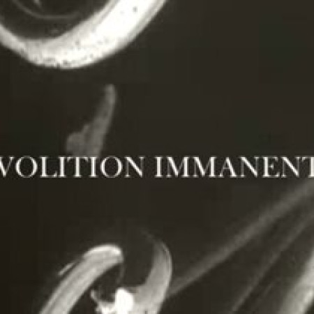 Volition Immanent
