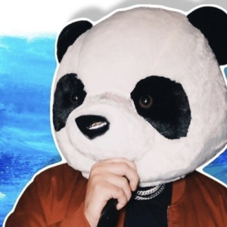 Wild panda on the run