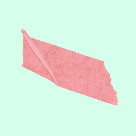 Without Leaves