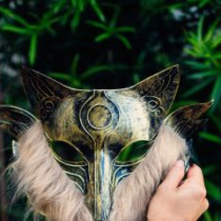 Wolf Story