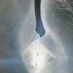 Profile of Yurushite Nyan