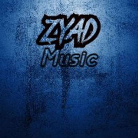 Zyad Osama Ahmed